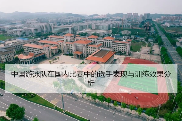 中国游泳队在国内比赛中的选手表现与训练效果分析