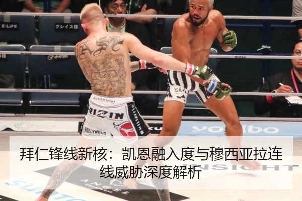 拜仁锋线新核：凯恩融入度与穆西亚拉连线威胁深度解析