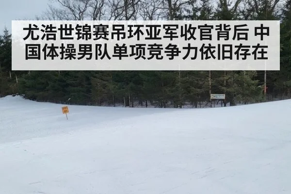 尤浩世锦赛吊环亚军收官背后 中国体操男队单项竞争力依旧存在